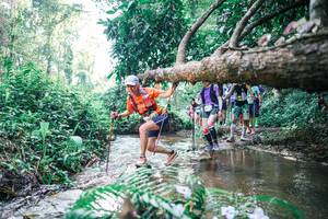 BIB: 
                            <button type="button" onclick="openModal(25451949)" class="btn btn-primary btn-sm float-right btn-popup" data-toggle="modal" data-target=".modal-high-quality">
                        <i class="fas fa-shopping-cart"></i> Add to Cart
                    </button>
                                            <button type="button" onclick="isThisMe(25451949, true)" class="btn btn-success btn-sm float-right btn-popup btn-isme hidden" data-toggle="tooltip" data-placement="bottom" title="นี่คือรูปของคุณใช่ไหม คลิกที่นี่เพื่อเอาเข้าอัลบั้ม">
                        <i class="fas fa-plus"></i> Add to album
                    </button>
                    <button type="button" onclick="isThisMe(25451949, false)" class="btn btn-warning btn-sm float-right btn-popup btn-isnotme hidden">
                        <i class="fas fa-ban"></i> Remove from album
                    </button>